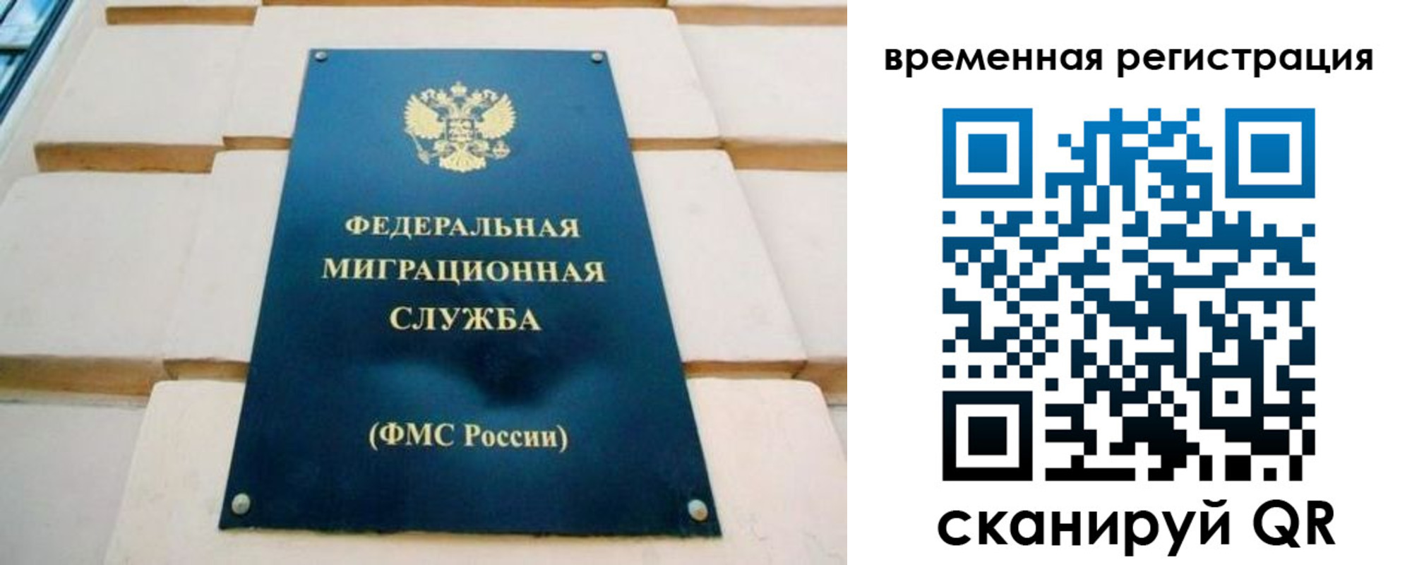 прописка гарантия в Добрянке
